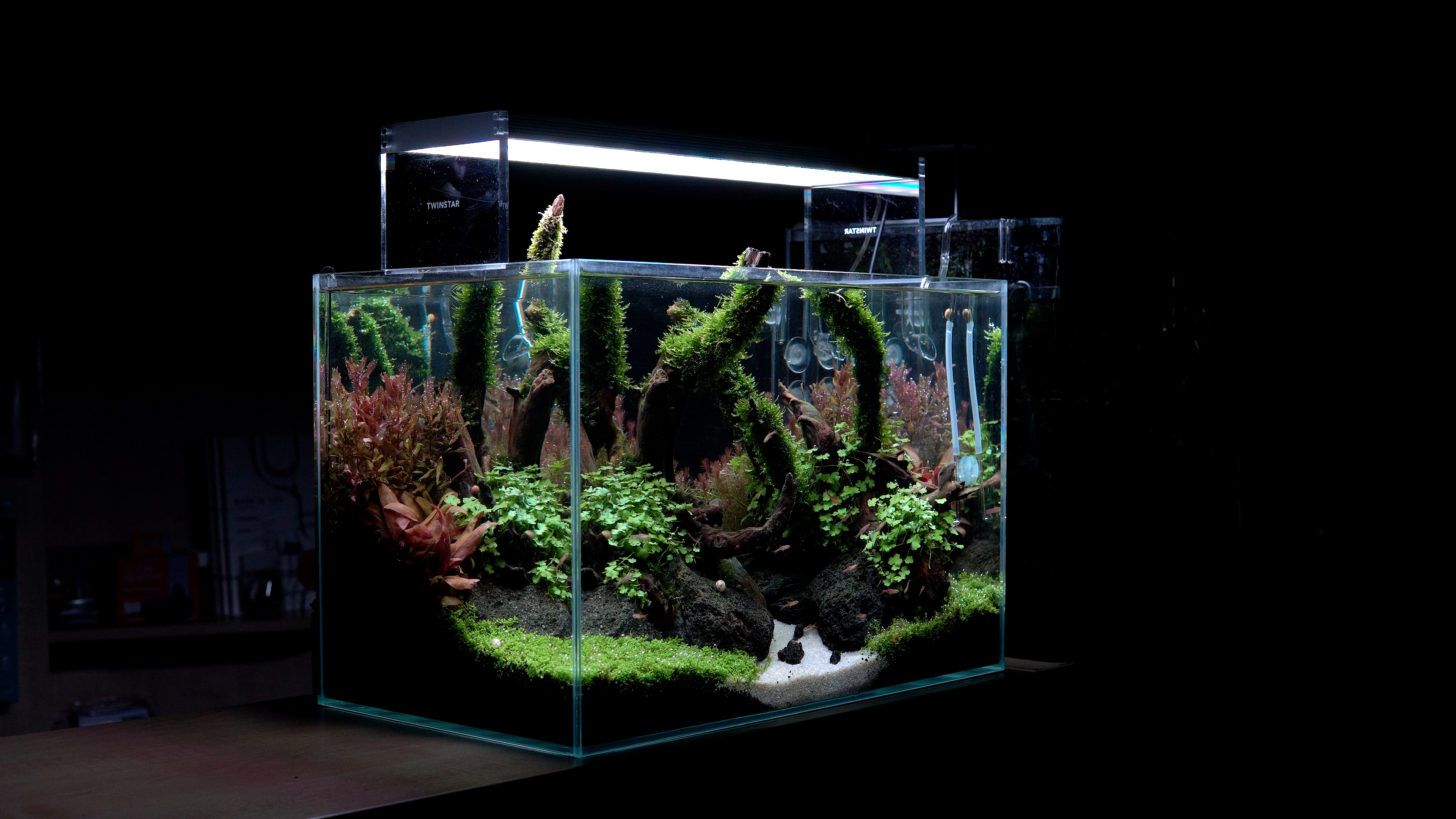Akvarium pro krevetky